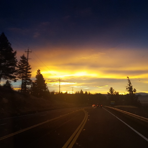 Meet your Posher, Shellie - Picture 1 of 1